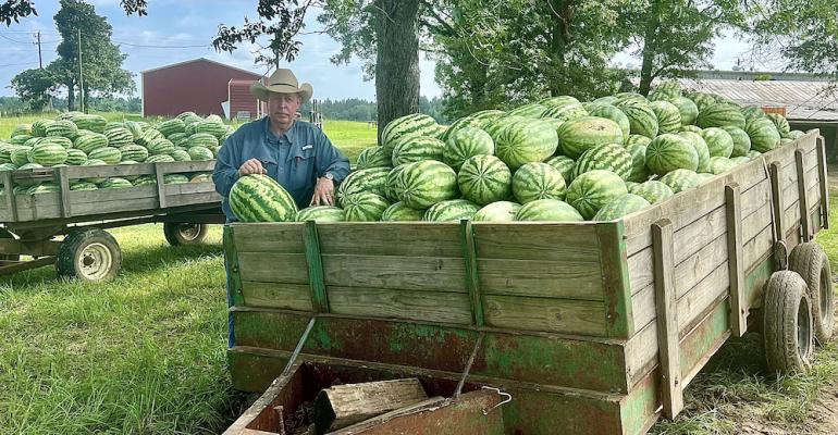 Watermelon Farming: A Sweet Slice of Life on a Mississippi Farm